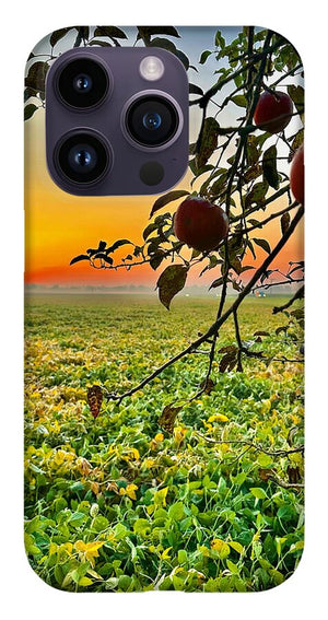 Apple Sunrise - Phone Case