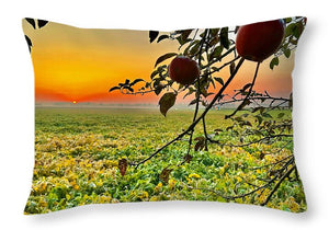 Apple Sunrise - Throw Pillow