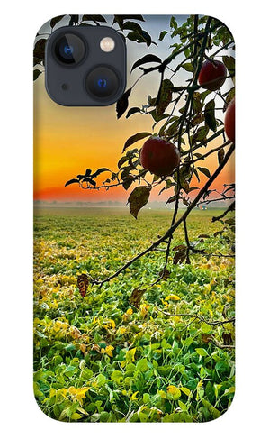 Apple Sunrise - Phone Case