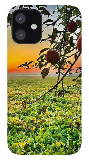 Apple Sunrise - Phone Case