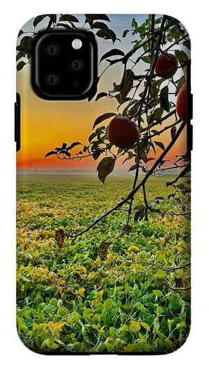 Apple Sunrise - Phone Case