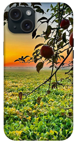 Apple Sunrise - Phone Case