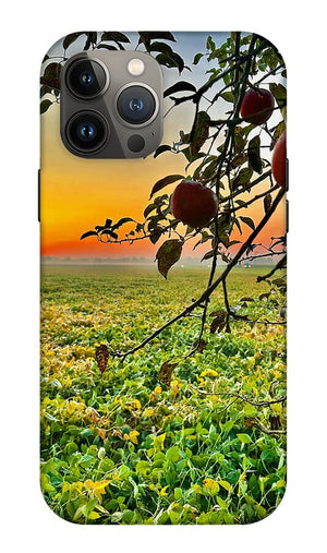 Apple Sunrise - Phone Case