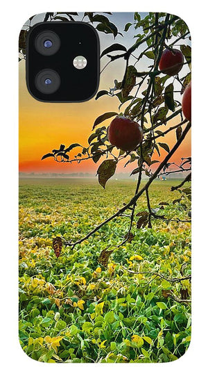 Apple Sunrise - Phone Case