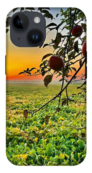 Apple Sunrise - Phone Case