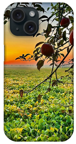 Apple Sunrise - Phone Case