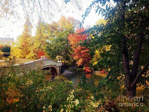 Autumn Bridge - Art Print