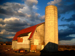 Brilliant Barn - Art Print