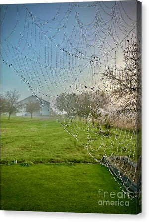 Dewy Diamonds  - Canvas Print