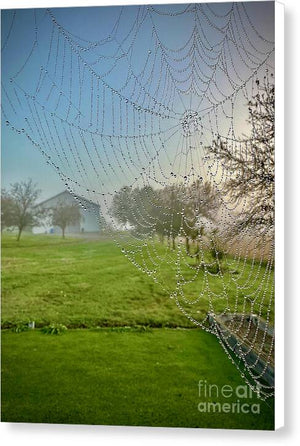 Dewy Diamonds  - Canvas Print