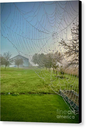 Dewy Diamonds  - Canvas Print