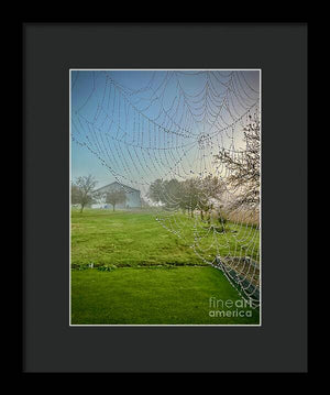 Dewy Diamonds  - Framed Print