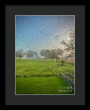 Dewy Diamonds  - Framed Print