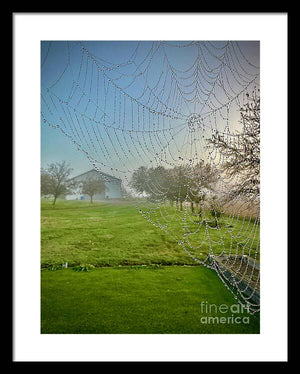 Dewy Diamonds  - Framed Print