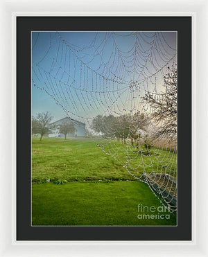 Dewy Diamonds  - Framed Print