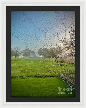 Dewy Diamonds  - Framed Print