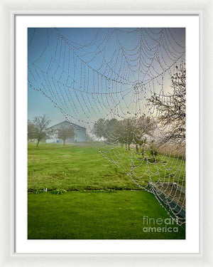 Dewy Diamonds  - Framed Print