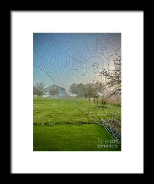 Dewy Diamonds  - Framed Print