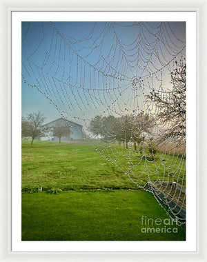 Dewy Diamonds  - Framed Print