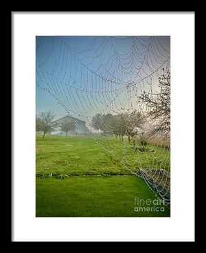 Dewy Diamonds  - Framed Print