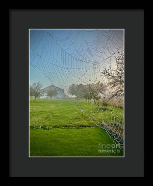 Dewy Diamonds  - Framed Print