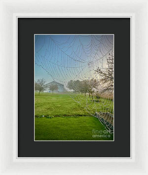 Dewy Diamonds  - Framed Print