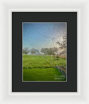 Dewy Diamonds  - Framed Print