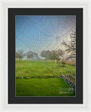 Dewy Diamonds  - Framed Print