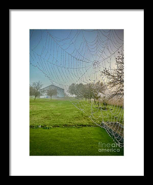 Dewy Diamonds  - Framed Print