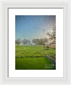 Dewy Diamonds  - Framed Print