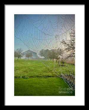 Dewy Diamonds  - Framed Print