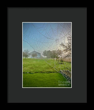 Dewy Diamonds  - Framed Print