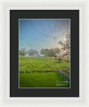 Dewy Diamonds  - Framed Print