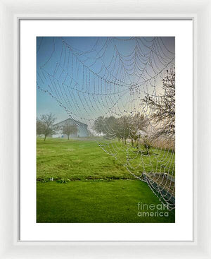 Dewy Diamonds  - Framed Print