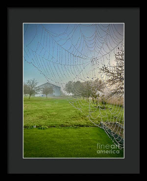 Dewy Diamonds  - Framed Print