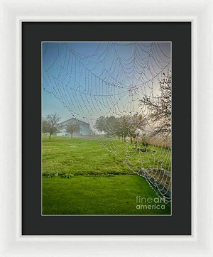 Dewy Diamonds  - Framed Print