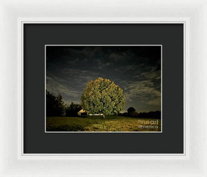 Dreaming Tree - Framed Print