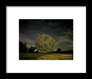 Dreaming Tree - Framed Print