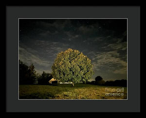 Dreaming Tree - Framed Print