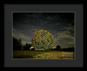 Dreaming Tree - Framed Print