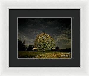 Dreaming Tree - Framed Print