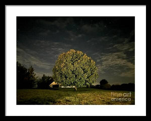 Dreaming Tree - Framed Print