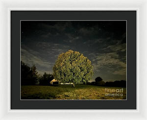 Dreaming Tree - Framed Print