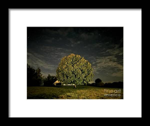 Dreaming Tree - Framed Print