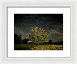 Dreaming Tree - Framed Print