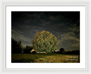 Dreaming Tree - Framed Print