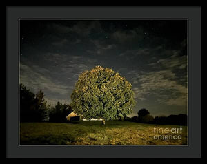 Dreaming Tree - Framed Print