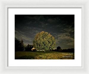 Dreaming Tree - Framed Print