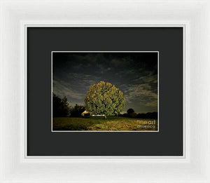 Dreaming Tree - Framed Print