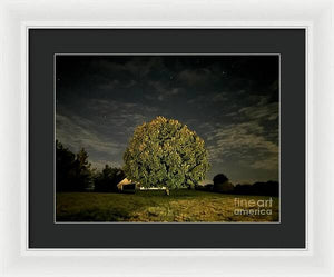 Dreaming Tree - Framed Print